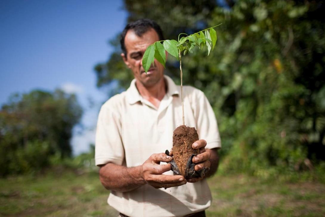 Improving agriculture